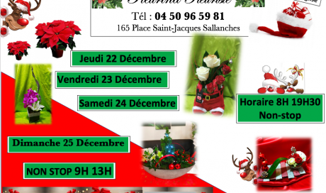 Fleuriste ouvert à Noël, livraison fleurs, bouquet de fleurs, poinsettia, 