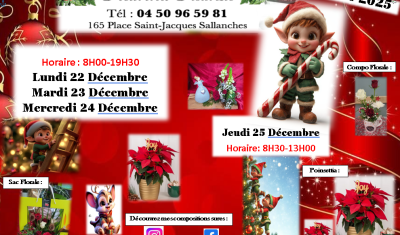 Noël : Centre de table, bouquet, sapin, poinsettia, hellébore, fleuriste à Sallanches Fleurina, horaire 