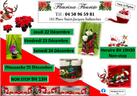 Fleuriste ouvert à Noël, livraison fleurs, bouquet de fleurs, poinsettia, 