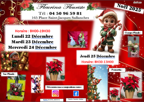 Noël : Centre de table, bouquet, sapin, poinsettia, hellébore, fleuriste à Sallanches Fleurina, horaire 