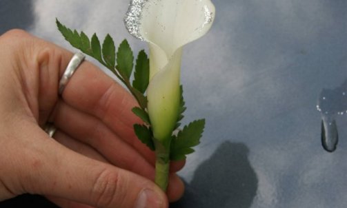 Boutonnière du Marié, Papa, Témoin