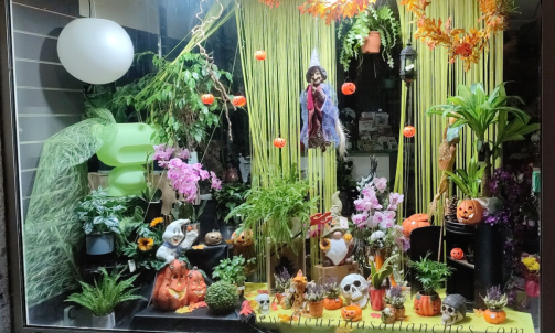 Vitrine Hallowen