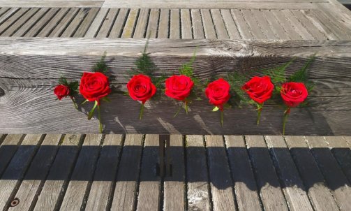 Boutonnière du Marié, Papa, Témoin