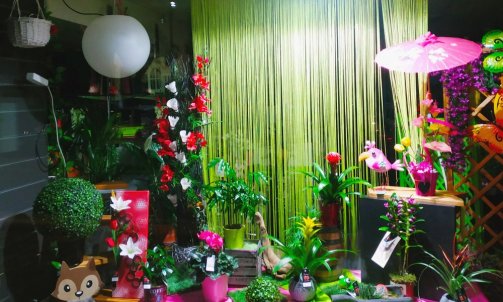Vitrine rose vert pomme