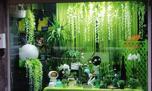 Nature et fraicheur 2021