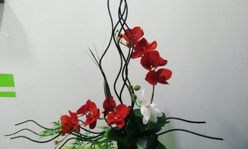Pot noir orchidée rouge