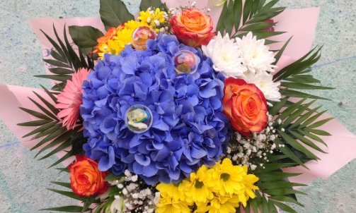 Bouquet bulle Hortensia mix couleur
